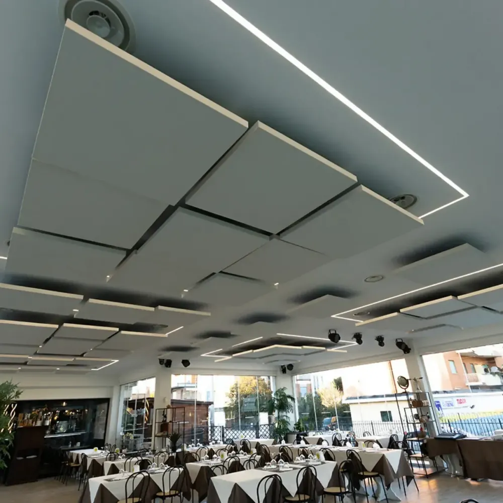 Reducing Noise and Echo in a Restaurant in Anzio